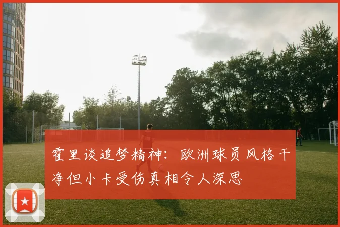 霍里谈追梦精神：欧洲球员风格干净但小卡受伤真相令人深思